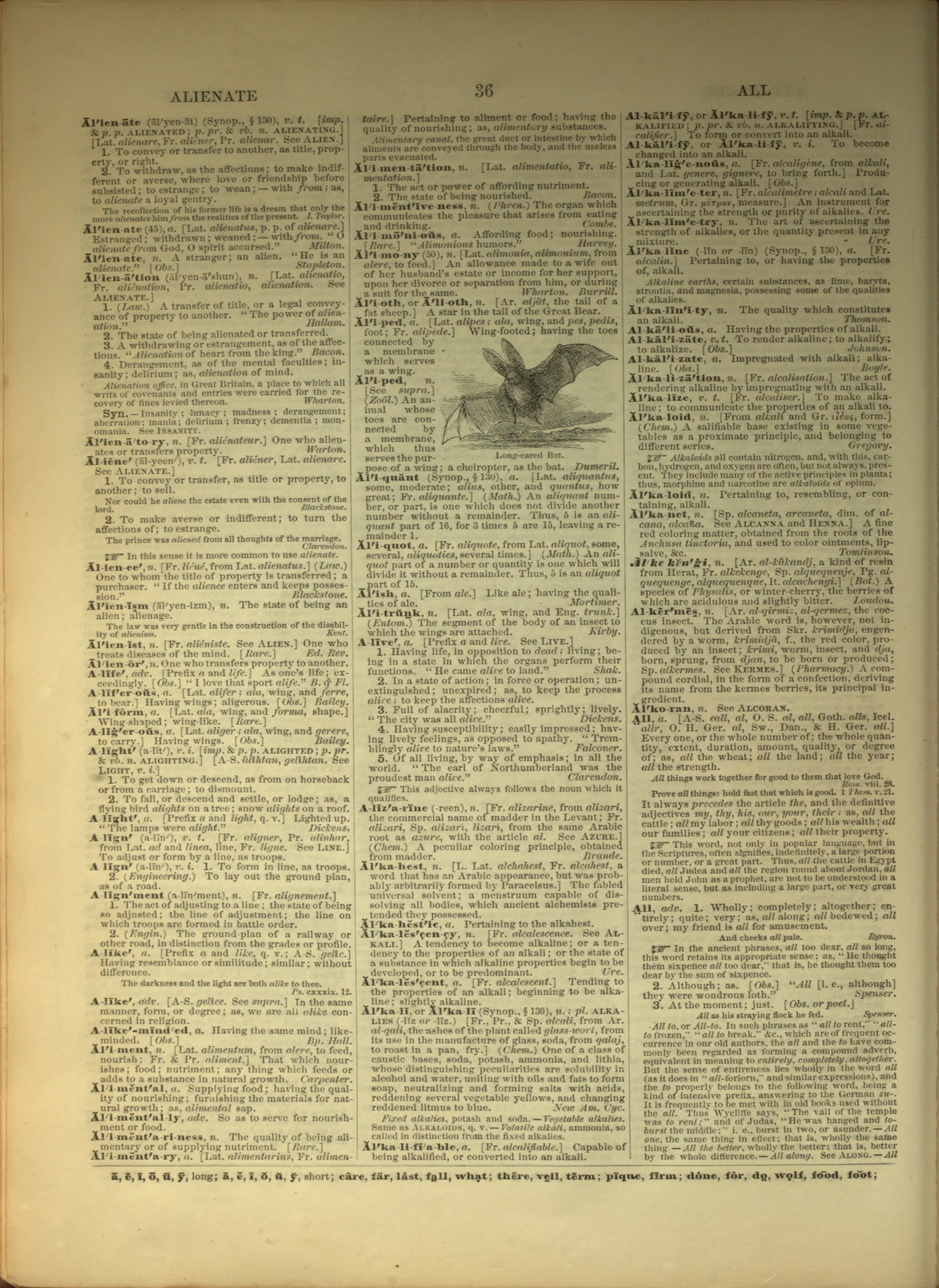Scan of page 36
