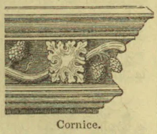 An ornate architectural cornice decorated with carved foliage and projecting moldings.