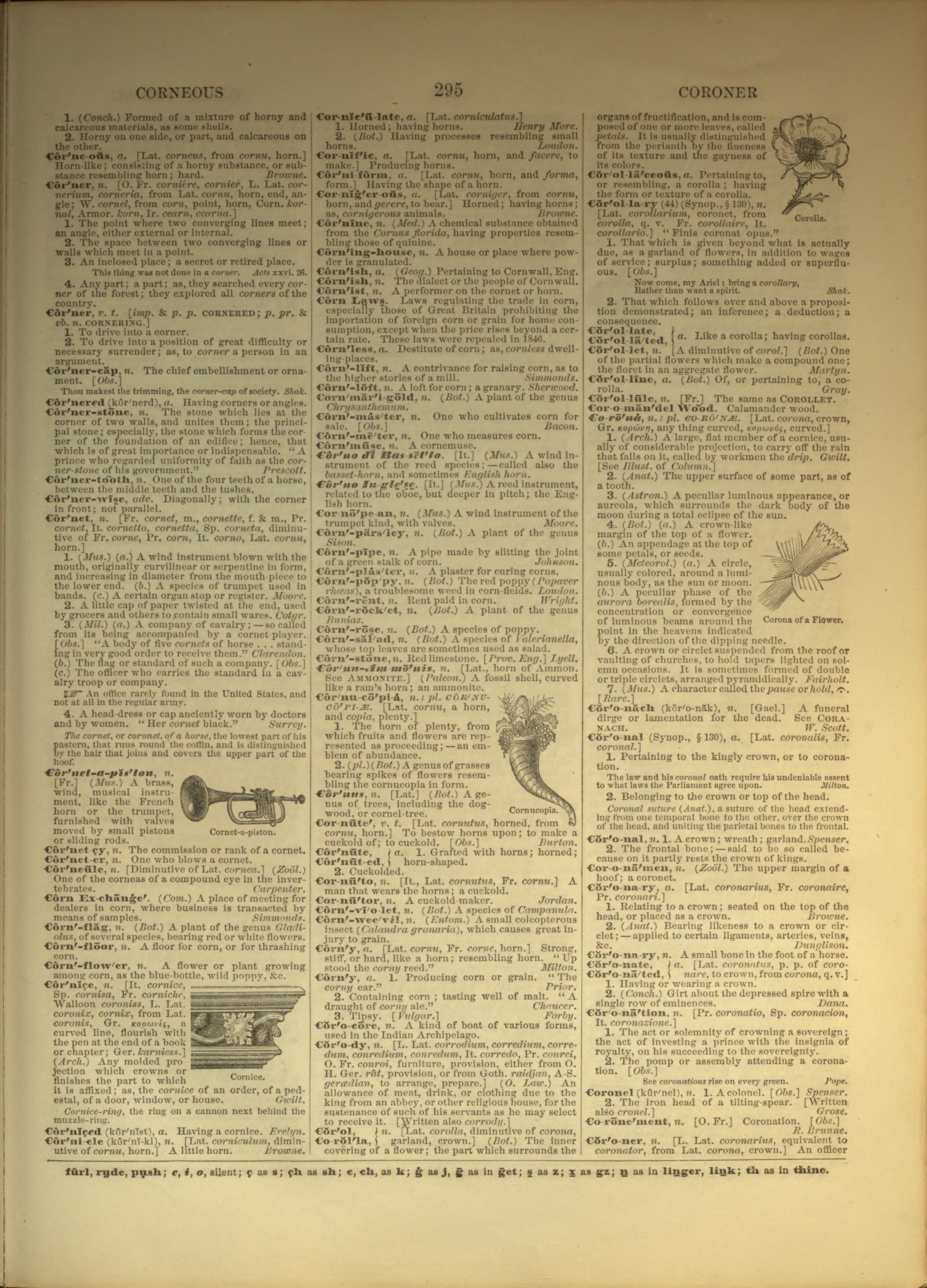 Scan of page 295