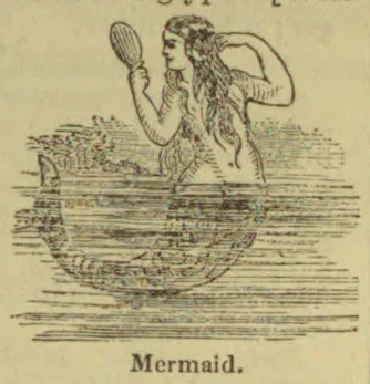 An illustration of a mermaid holding a hand mirror, with her tail submerged in the water.