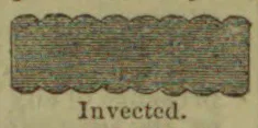 A horizontally striped rectangular band with scalloped upper and lower edges.