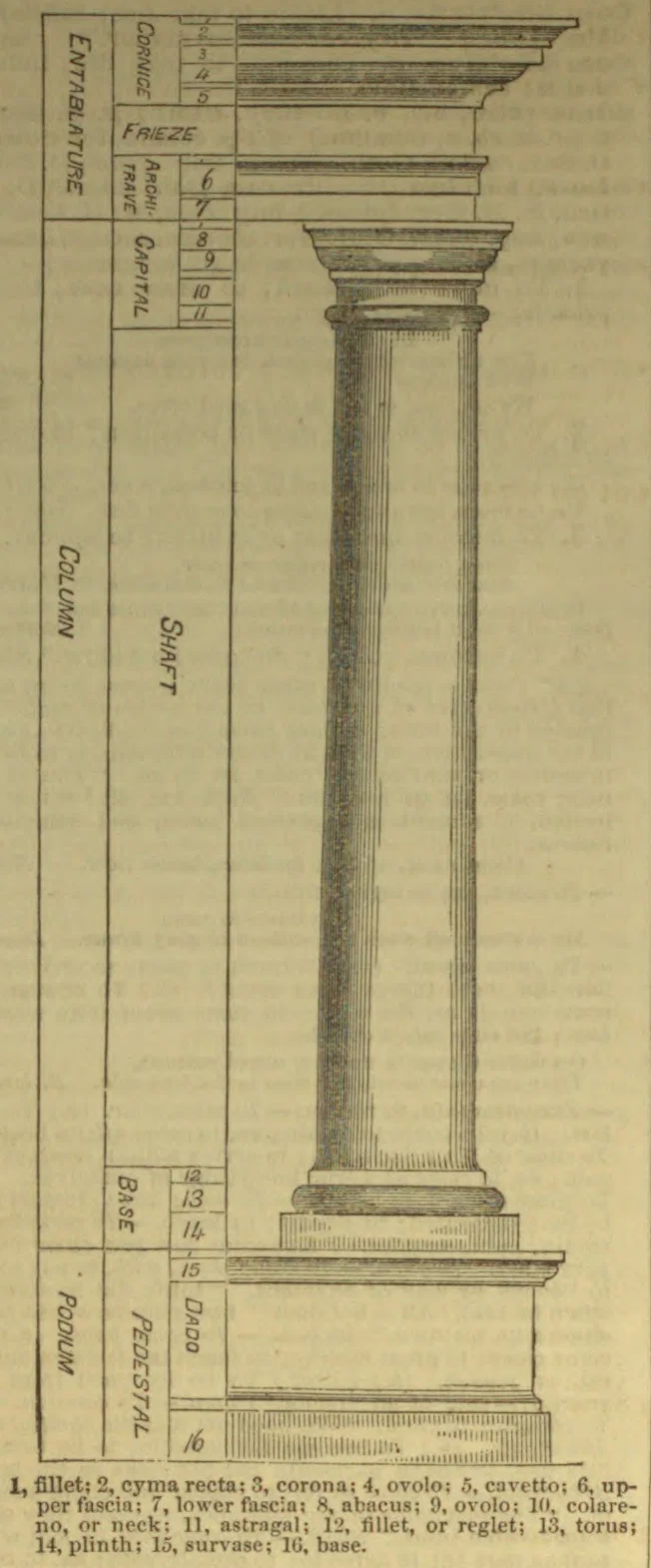 A labeled diagram of a classical column and its parts, from the entablature and capital down to the base and pedestal.