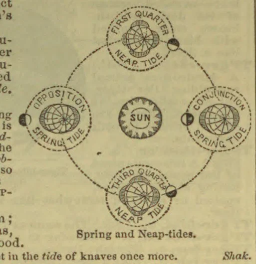 Diagram showing the Sun and the Moon’s positions at spring and neap tides.