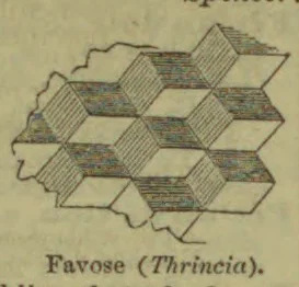 A honeycomb-like arrangement of hexagonal plates, shown in a branching cluster.