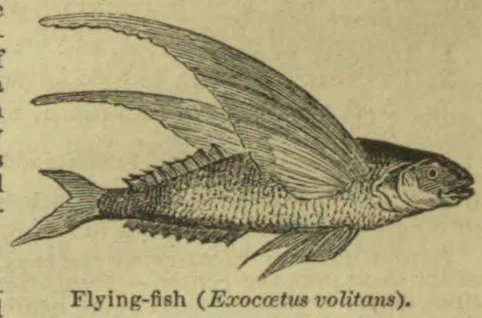 No illustration is visible in the provided crop.