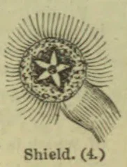 A round, ornamented shield with a star-shaped design at its center and a curved handle or attachment extending from the side.