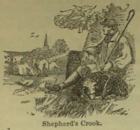 A shepherd rests beneath a tree with a crook beside him and a flock of sheep nearby.