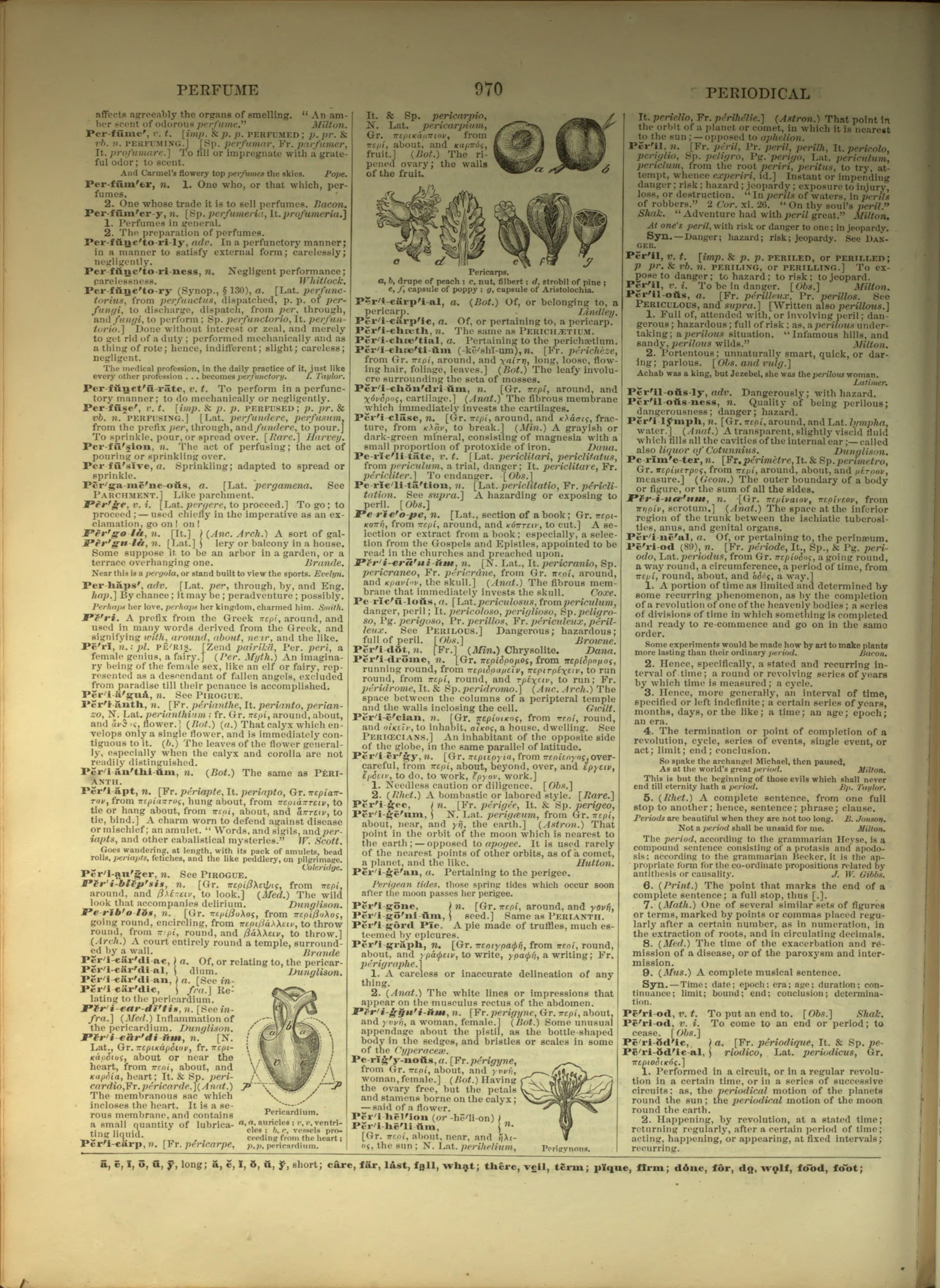 Scan of page 970