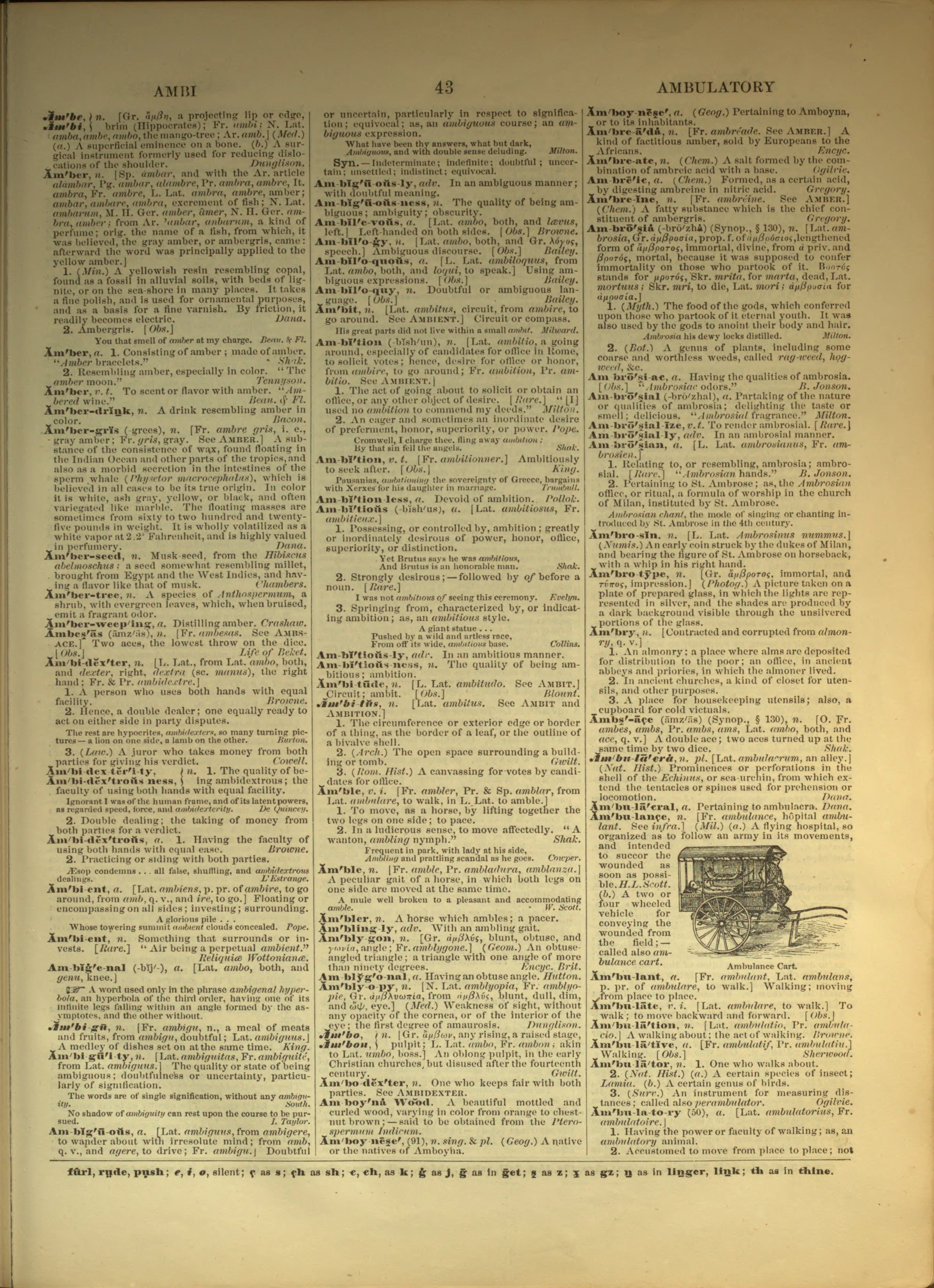 Scan of page 43