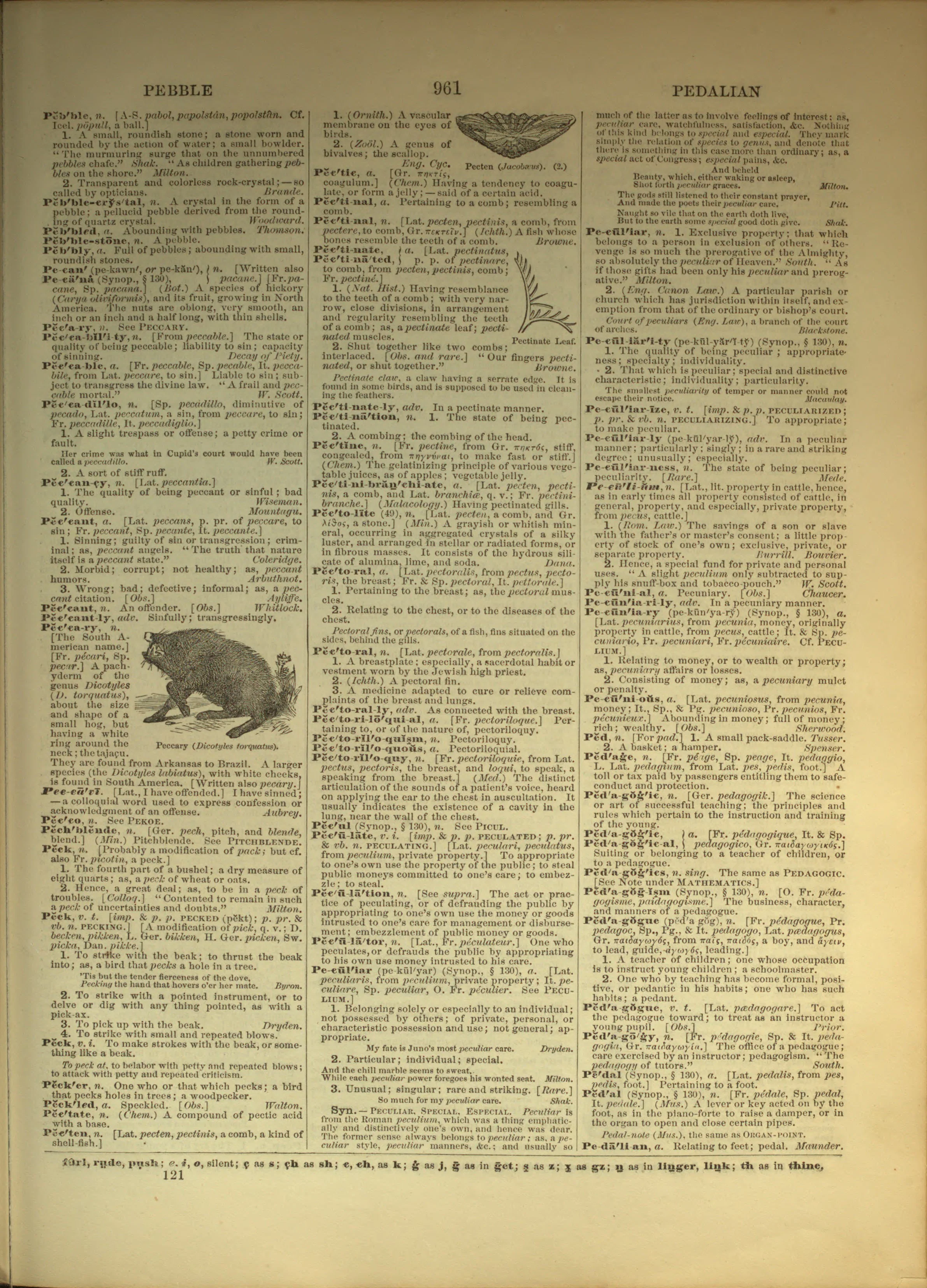 Scan of page 961