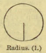 A circle with a line segment drawn from its center to its circumference.