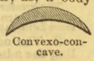A convex-concave curved shape, arched upward with a shallow concave underside.