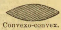 A biconvex lens-shaped figure filled with diagonal hatching.