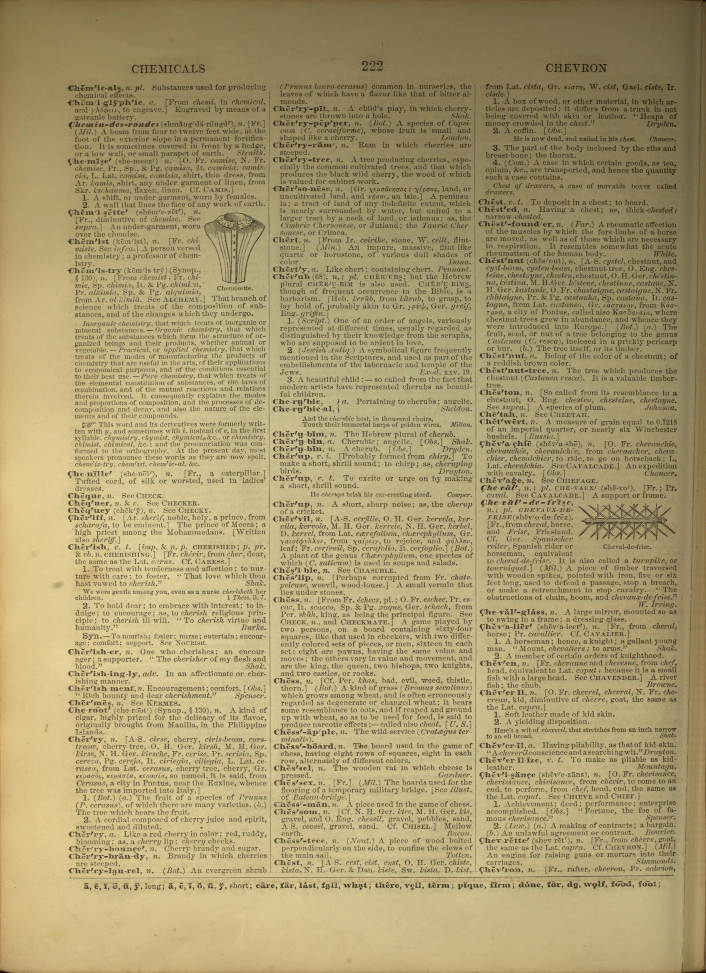 Scan of page 222