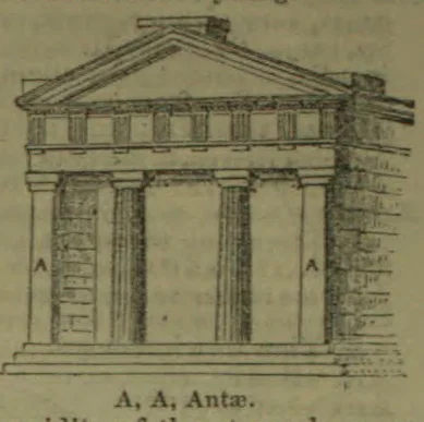 A classical temple façade with columns and a triangular pediment, with the antae marked A.