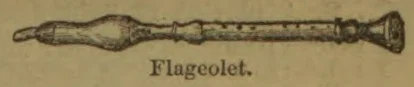 An illustration of a flageolet, a small woodwind instrument.