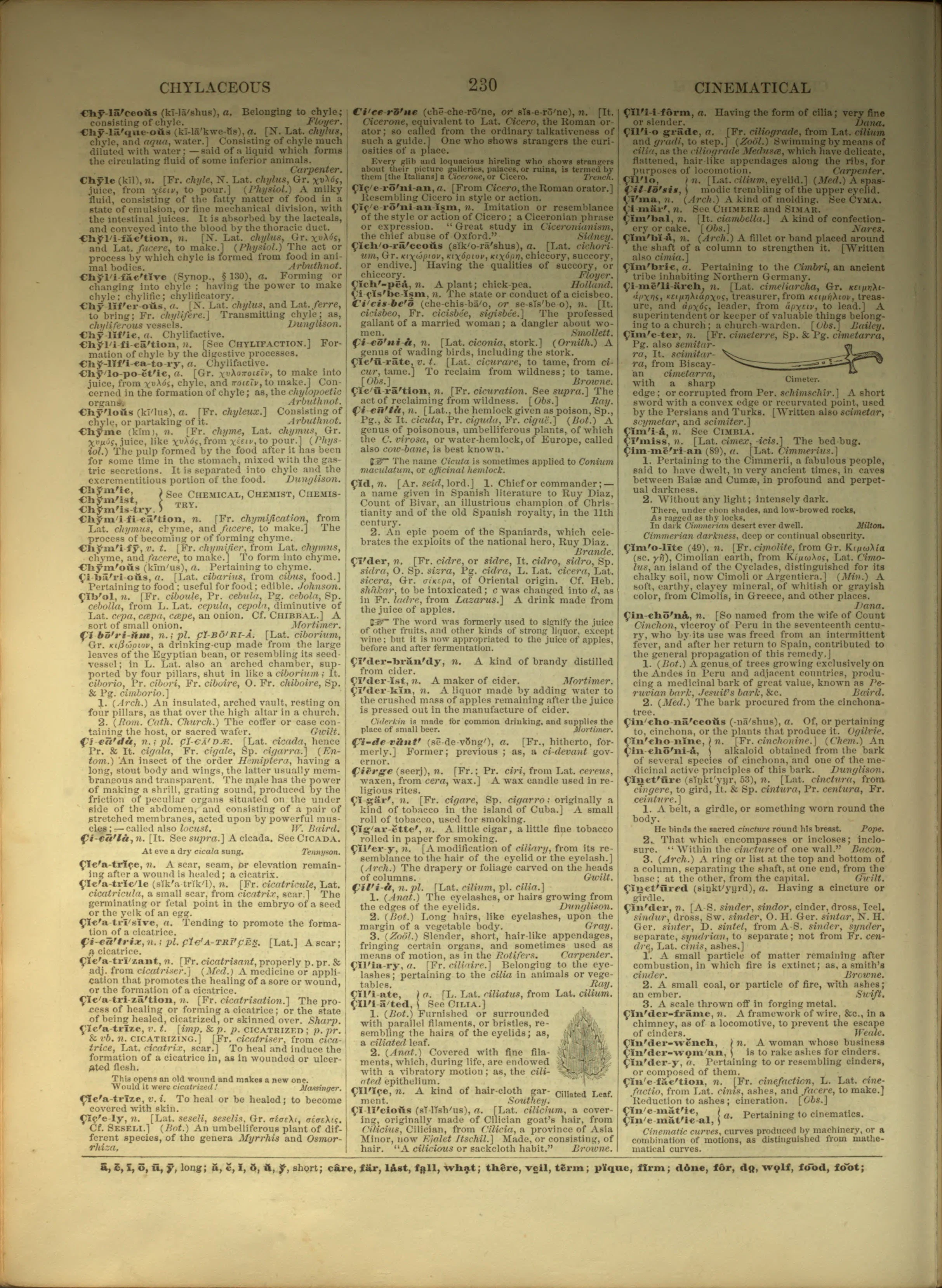 Scan of page 230