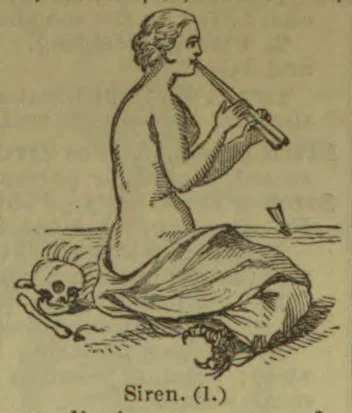 A seated mermaid-like siren plays a flute beside a skull and a serpent.