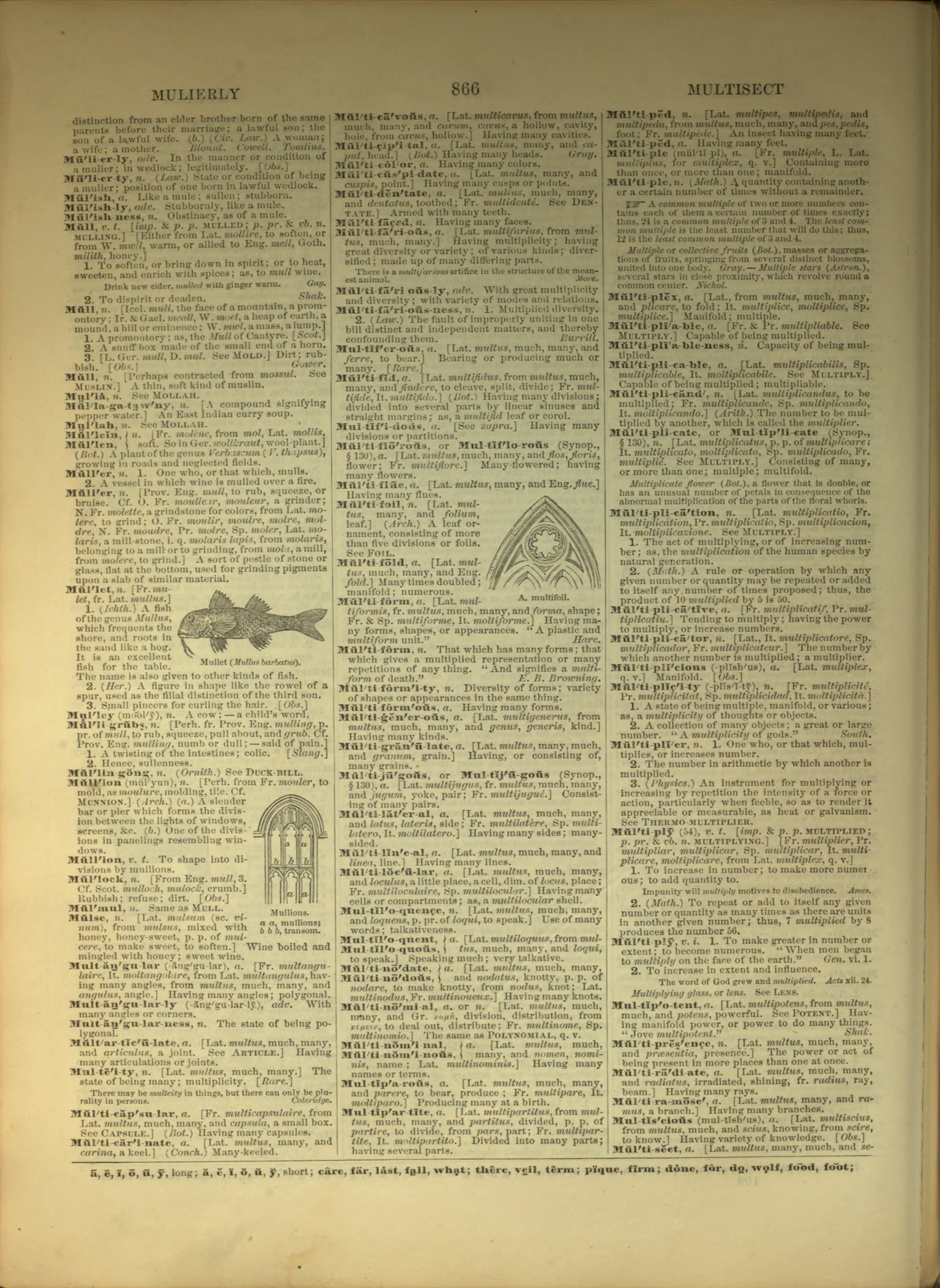 Scan of page 866