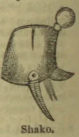A drawing of a military shako with a round pompon and hanging straps.
