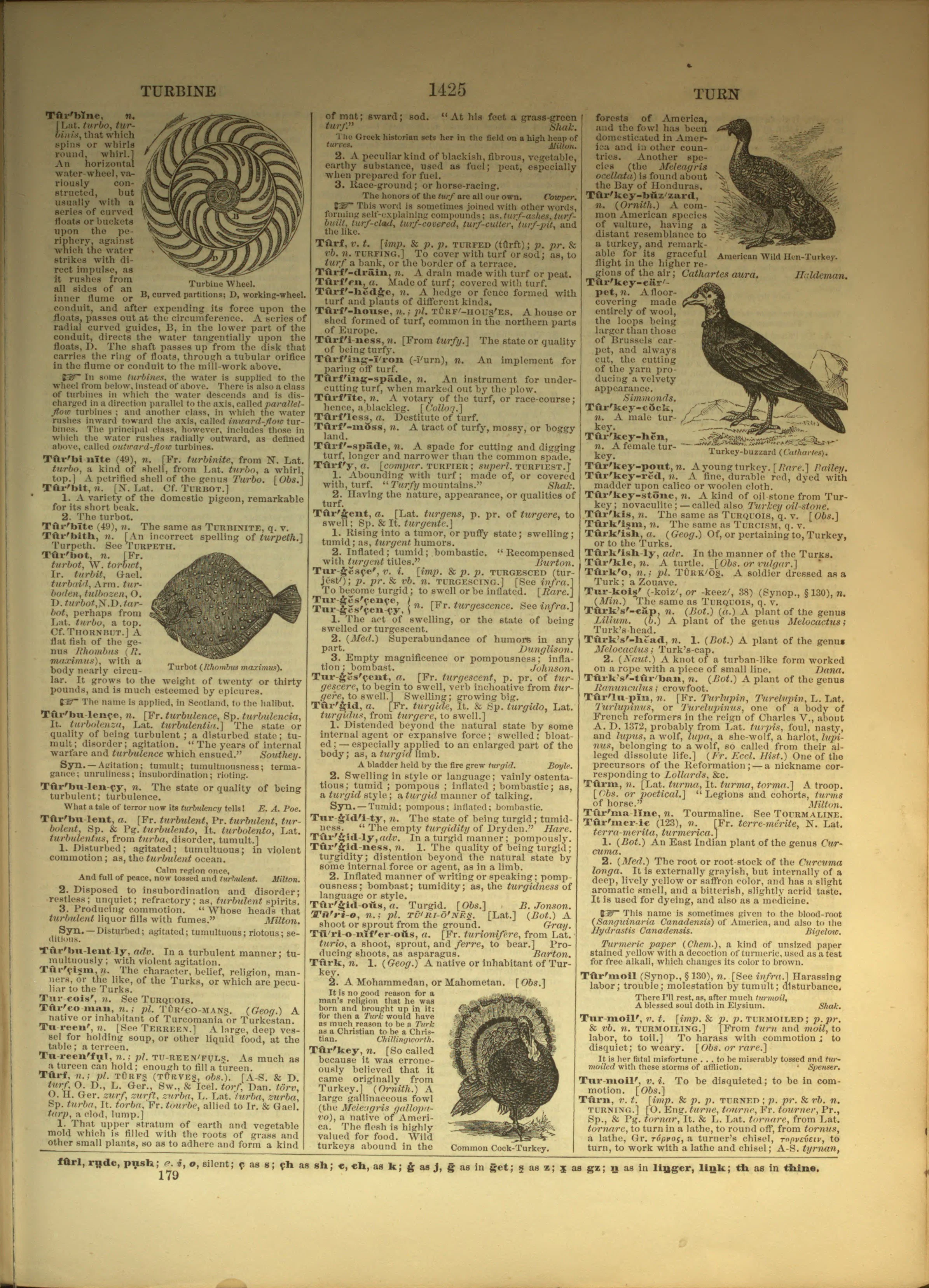 Scan of page 1425