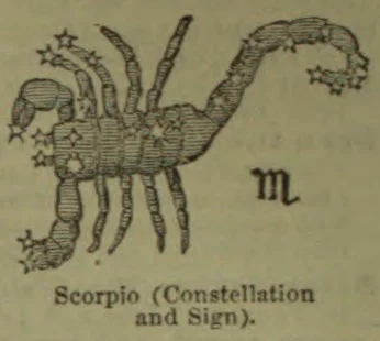 A scorpion is shown with stars marked across its body and tail.