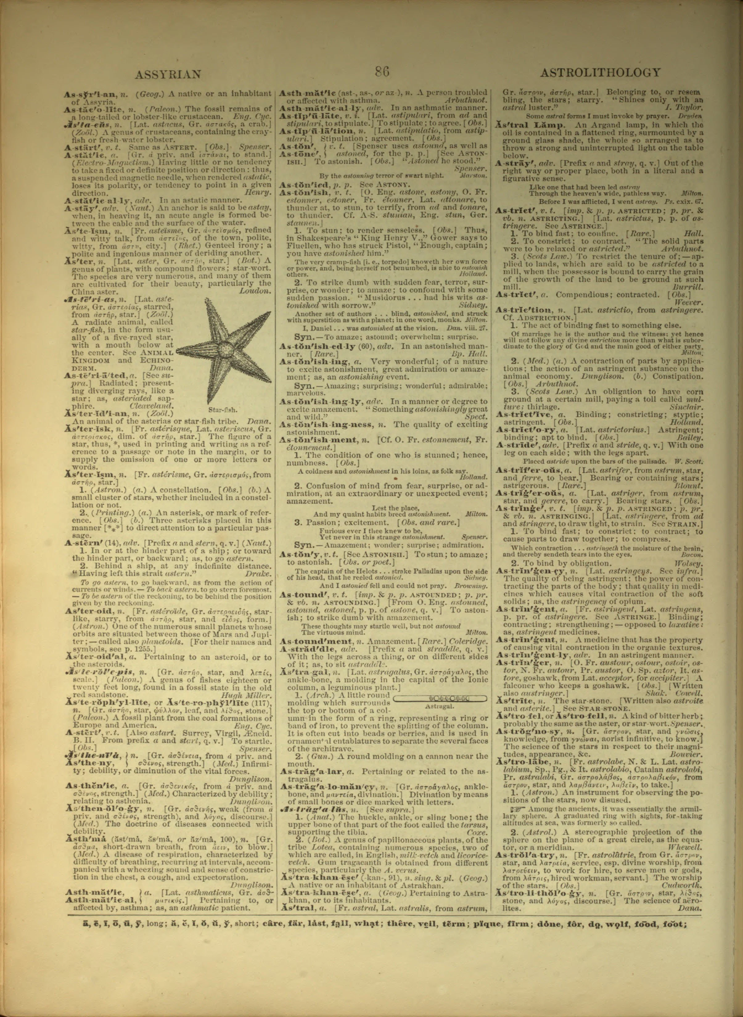 Scan of page 86