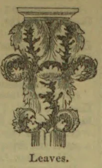An ornamental arrangement of carved leaves and scrollwork.