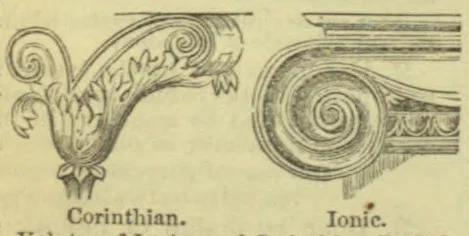 Two architectural column capitals are shown: a leafy Corinthian capital and a spiral Ionic capital.