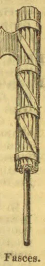 A bundle of rods bound together around an axe, with a long handle extending below.
