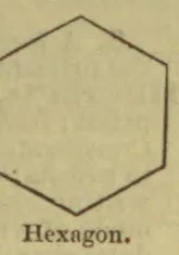 A simple outline drawing of a hexagon.