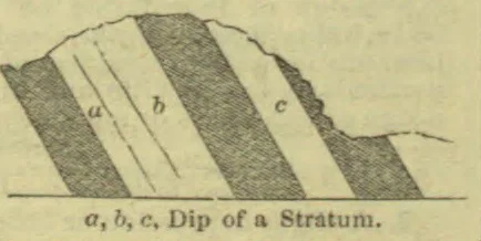 A diagram showing tilted layers of rock dipping in one direction.
