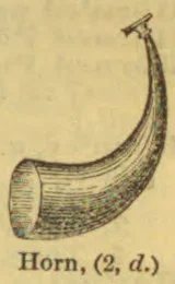 A curved horn with a wide opening at one end and a narrow, upturned tip.