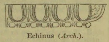 A row of rounded architectural molding profiles is shown in cross-section.