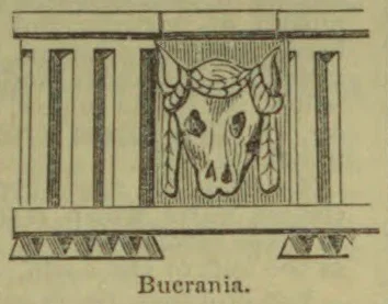An architectural frieze decorated with draped garlands and ox-skull motifs.