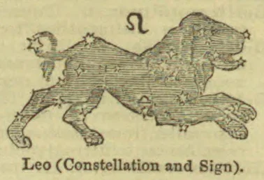 A lion depicted as the constellation Leo, with the Leo zodiac sign above it.