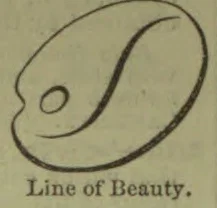 A curved, tapering line winds across an irregular oval outline, with a small oval mark near one end.