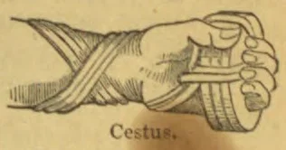 A hand and forearm are wrapped in a leather cestus, an ancient boxing glove.