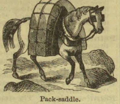 A horse stands wearing a large pack-saddle.