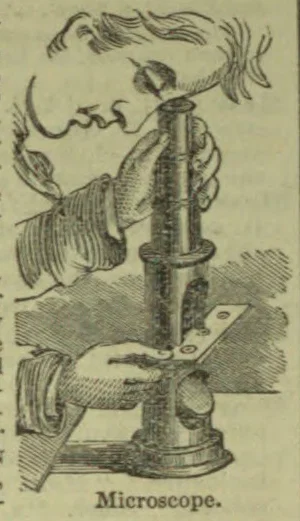 An engraved illustration shows a person looking through a microscope and adjusting its stage.