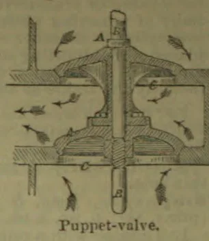 A sectional diagram of a puppet valve, showing its central stem and the flow of fluid around the valve.