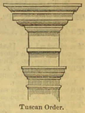 An illustration of a column capital in the Tuscan order.