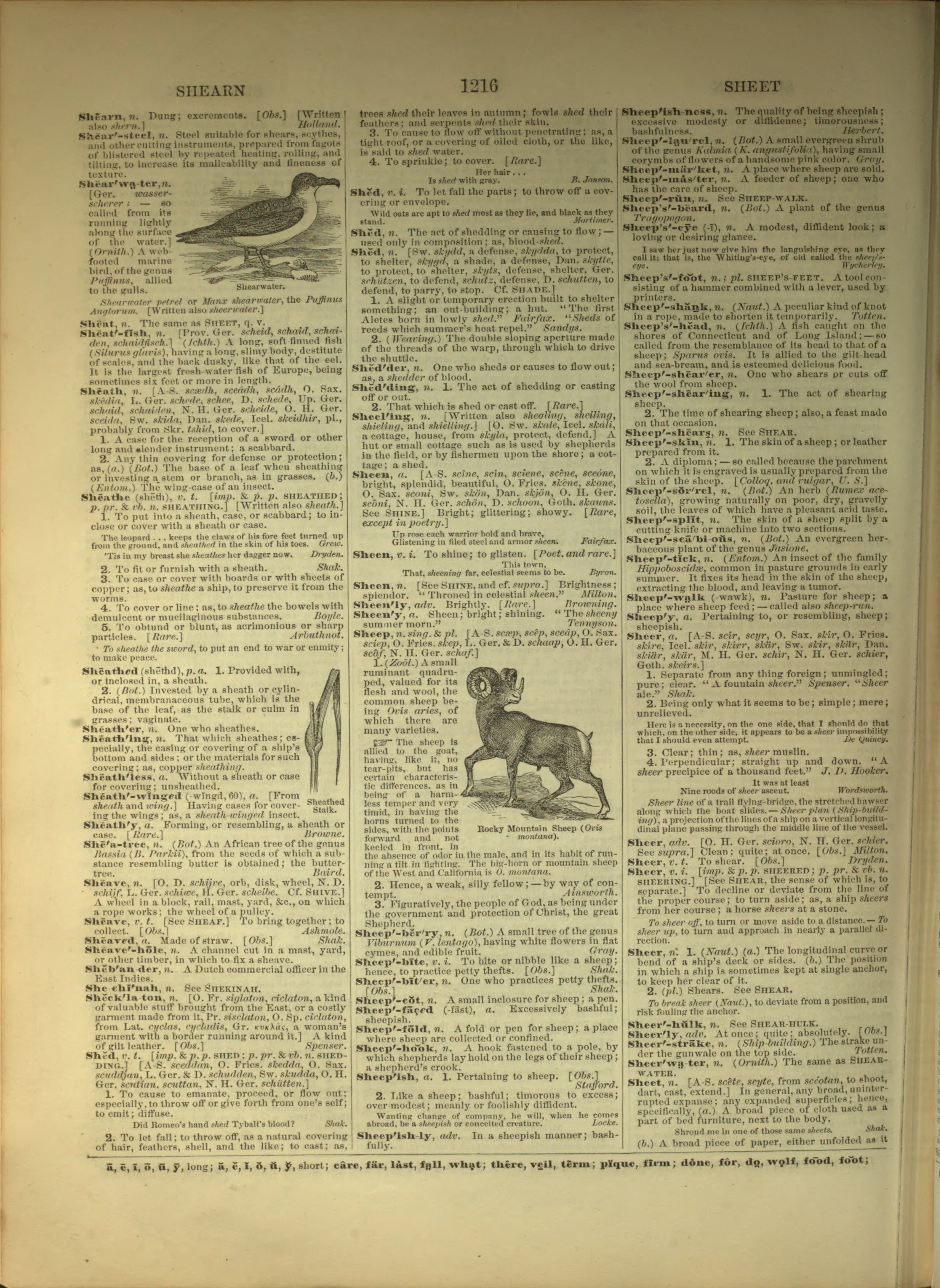 Scan of page 1216