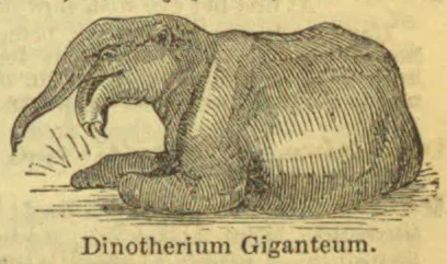 An engraved illustration of a large, elephant-like animal with a long, downward-curving trunk and prominent tusks, seated on the ground.