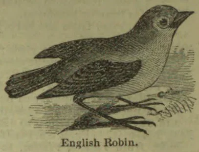 A bird perched on a branch, shown in profile.