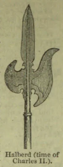 An ornate halberd with a long pointed blade and curved side blades.