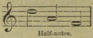 A treble-clef musical staff showing three half notes.