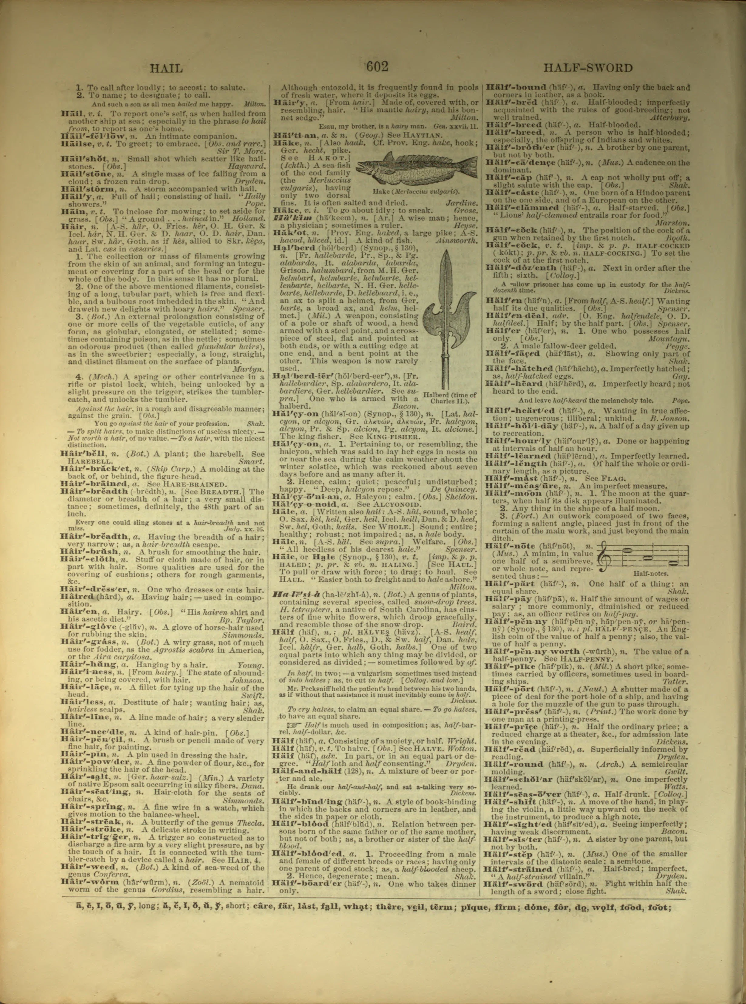 Scan of page 602