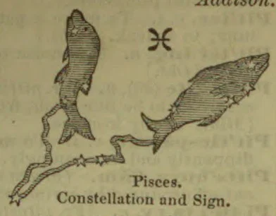 A drawing of the Pisces constellation, with two fish connected by a line and the Pisces zodiac symbol above them.