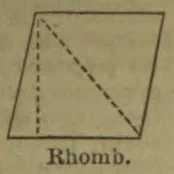 A rhombus is shown with a dashed diagonal from the upper-left vertex to the lower-right vertex and a dashed vertical line from the upper-left vertex to the lower-left vertex.